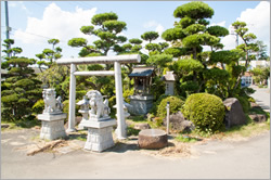 ひまわり神社